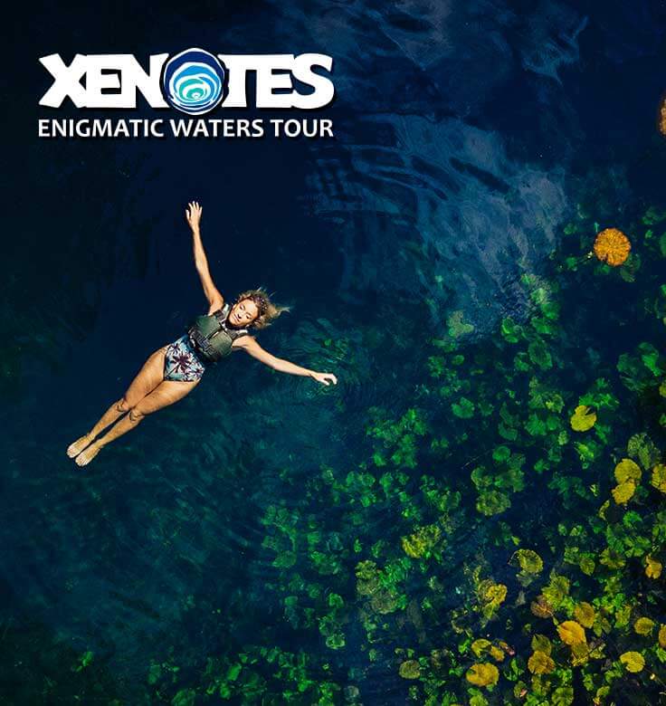 Xenotes